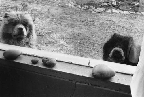 Taking a peek in the window- Courtesy Georgia O'Keeffe Museum