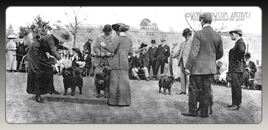 1914 House and Garden Dog shows...rare