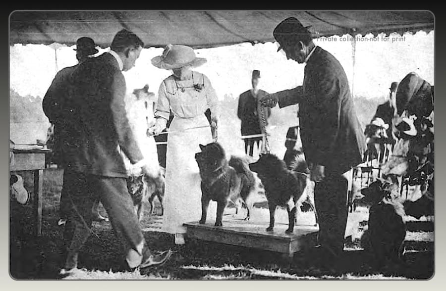 1914 House and Garden Dog shows...rare