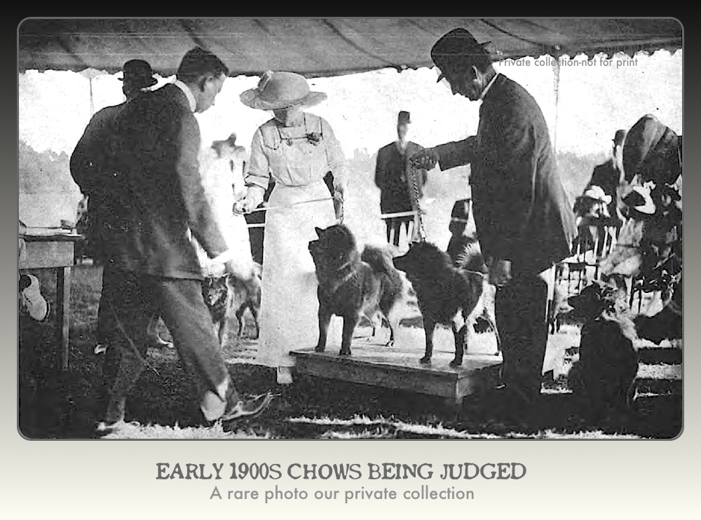 1914 House and Garden Dog shows...rare