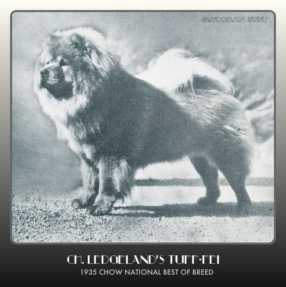 1935 Ch. Ledgelands Tuff Fei