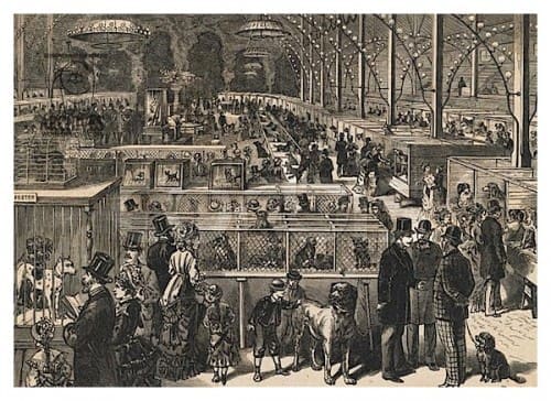 Crufts Benched show 1880