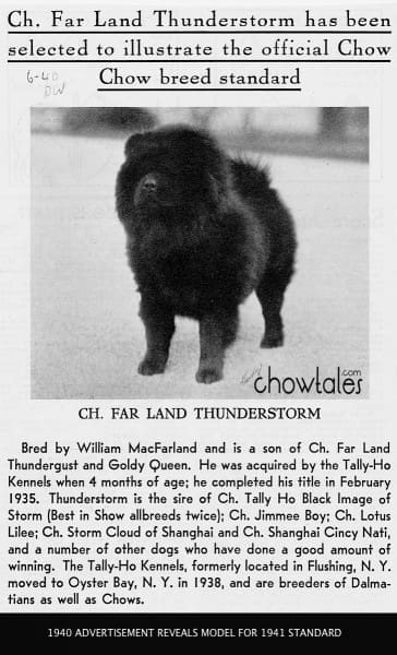 1940 CHOW STANDARD MODEL Tally Ho Kennels Far Land Thunderstorm