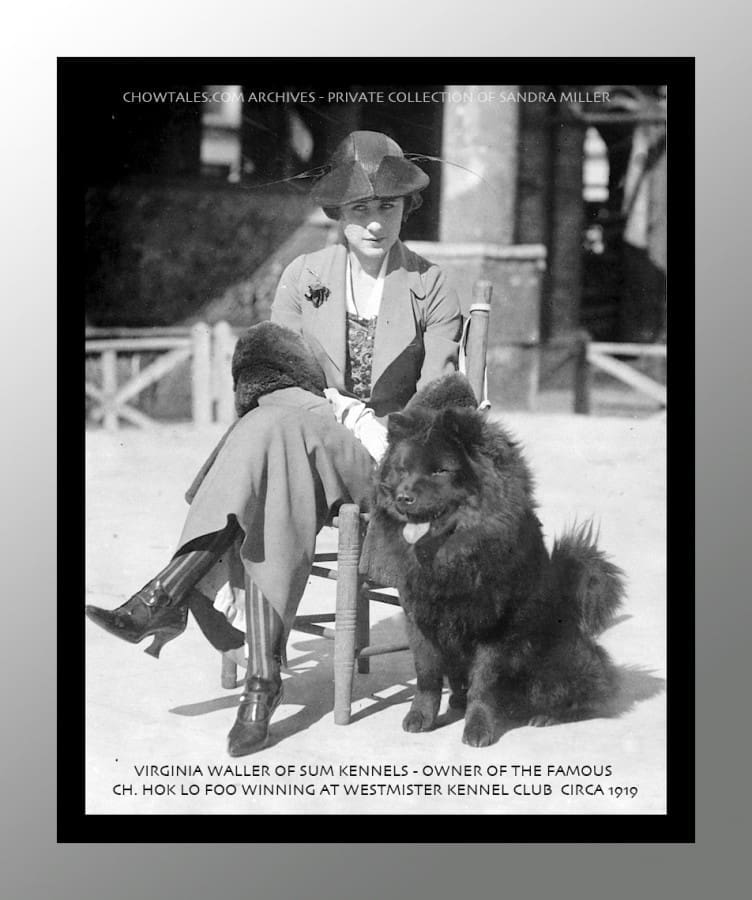 A very rare original photo in my personal collection. This was taken at the Westminster Kennel Club show in 1919 after Virginia Waller breeder/owner won the breed with her stunning black dog.