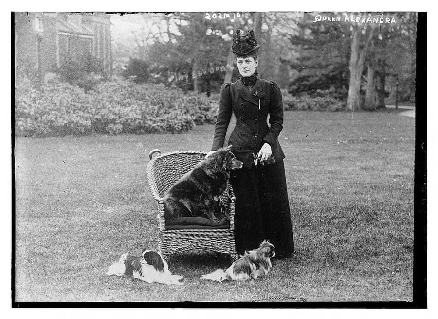 QUEEN ALEXANDRA WITH CHOW PLUMPIE