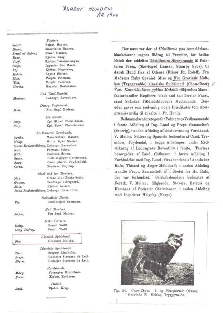 FIRST DANISH CHOW SHOWN 2