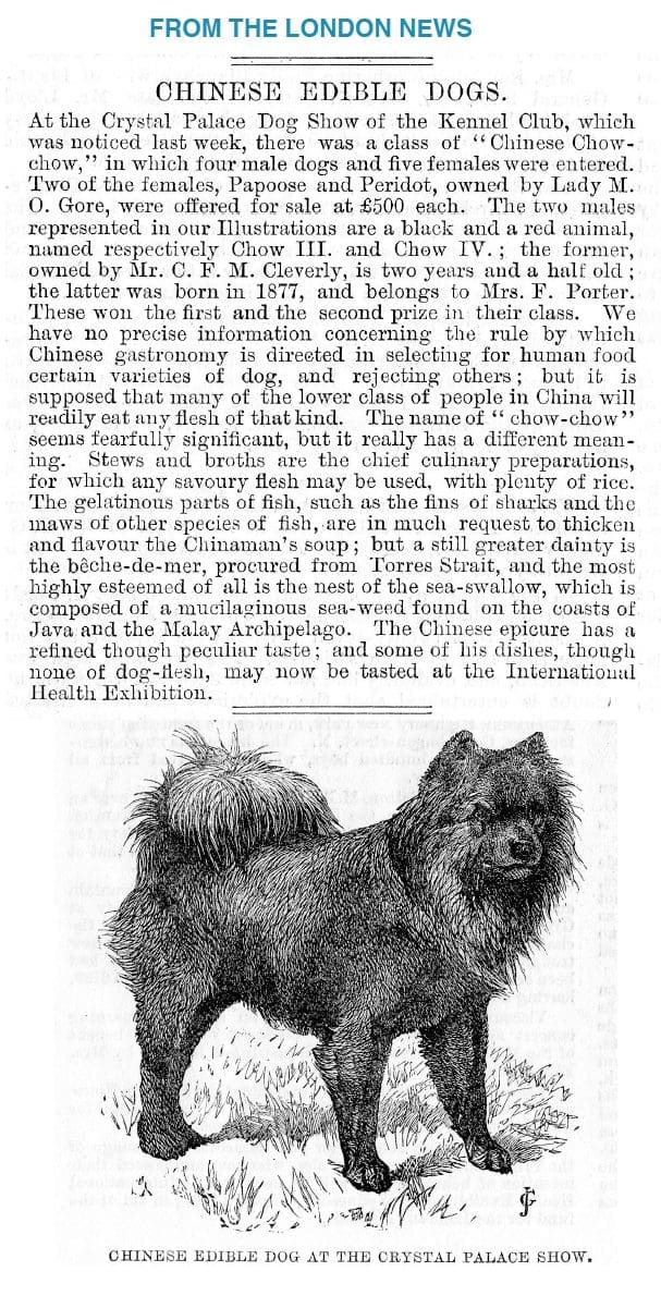 EDIBLE DOG OF CHINA 