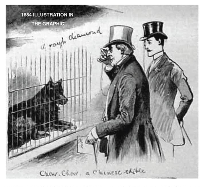 This 1895 illustration from the Crystal show is one of the earliest records of chows being shown