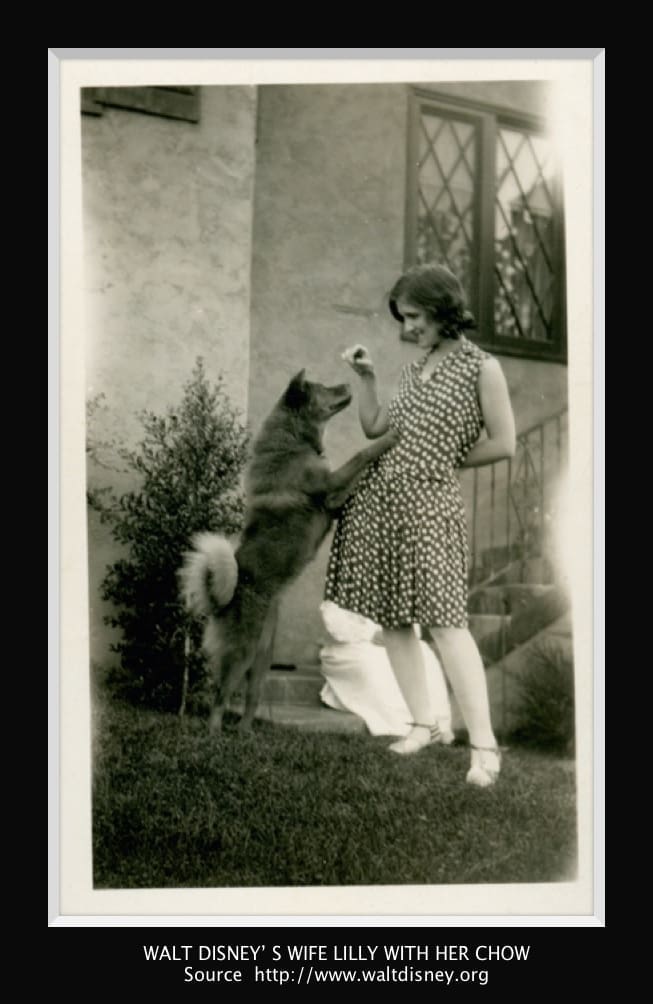 photo credit and text below from http://www.waltdisney.org/blog/walts-valentine Soon after they bought their first home in Los Angeles, Walt wanted a dog. Lilly, however, was not sold on the idea. Walt was determined. He bought a book on dogs and while reading it to Lilly, the Chow Chow caught her attention. She decided that if she had to have a dog, she would be fine with a Chow. The next day, Walt went out and bought a Chow puppy but kept it a secret until Christmas. While Walt and Lilly celebrated Christmas Eve with family at their home, Walt snuck the puppy into a hatbox, topped it with a large bow, and slipped it under the tree. Lilly was given the box and was, at first, rather disappointed: she loved to buy her own hats. Suddenly, the box moved and Lilly let out a scream as a little puppy poked its head out! From that moment on, Lilly was smitten with the dog they named Sunnee, never letting him leave her sight. Walt shared that he "never saw anyone so crazy about an animal.” This story later became the inspiration for Walt’s film Lady and the Tramp when Lady pops out of the hatbox on Christmas.