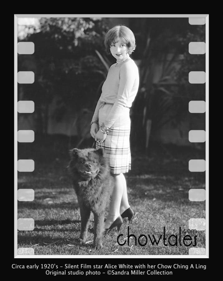 1920's Actress Alice White and probably Ching A Ling 8x10 original studio photo Back says Alice White National Star and her prize chow