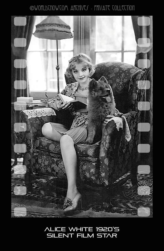 Alice White Actress - Version 2 (1)