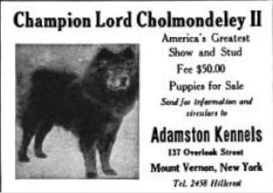 COUNTRY LIFE 1922  Bainbridge kennels R.S. Walsh -Adamston Kennels