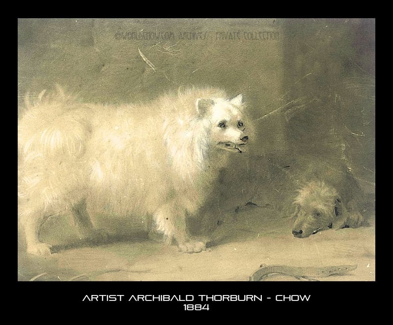 Archibald Thorburn - Chow 1884