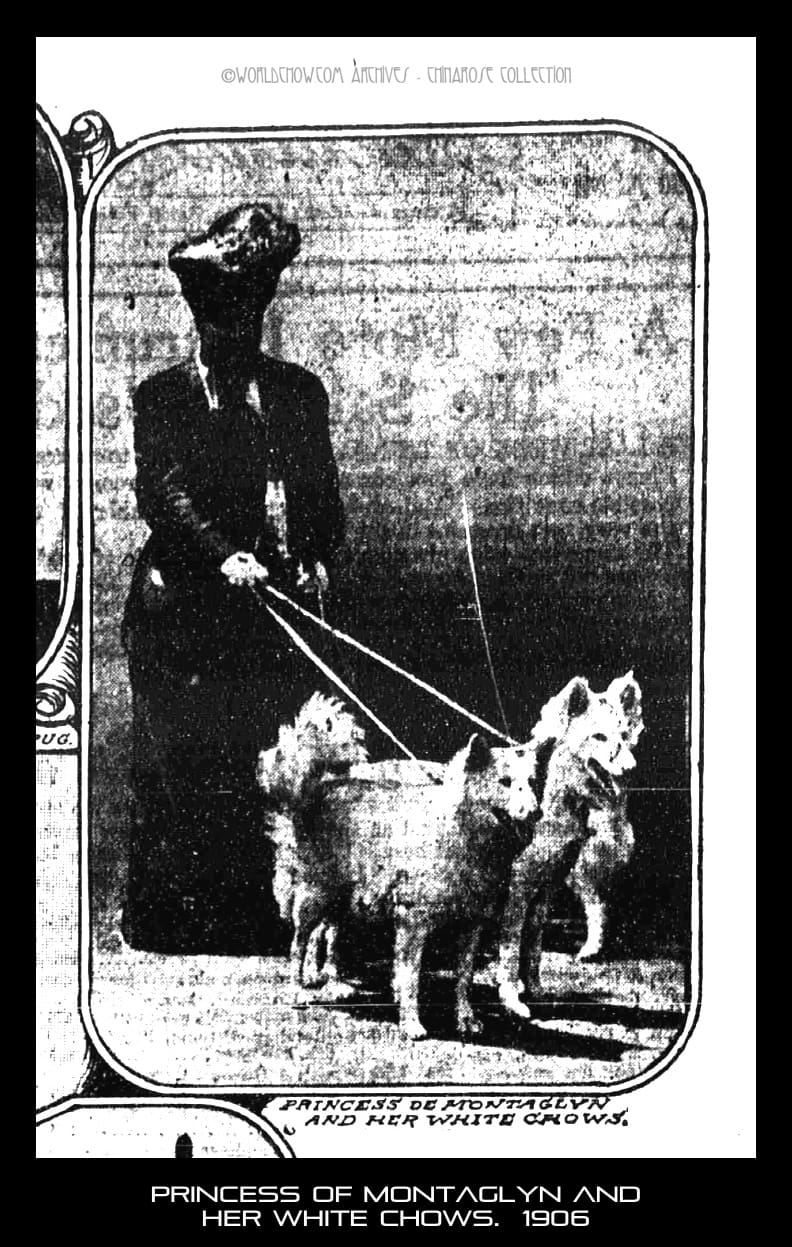 Princess of montaglyn and her white chows. 1906, The Sun,Sunday August 26