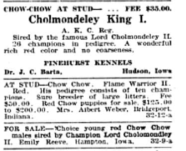 1921 DOG FANCY WITH 2 KENNELS NAMING 'CHUMLEY' IN THEIR PEDIGREES