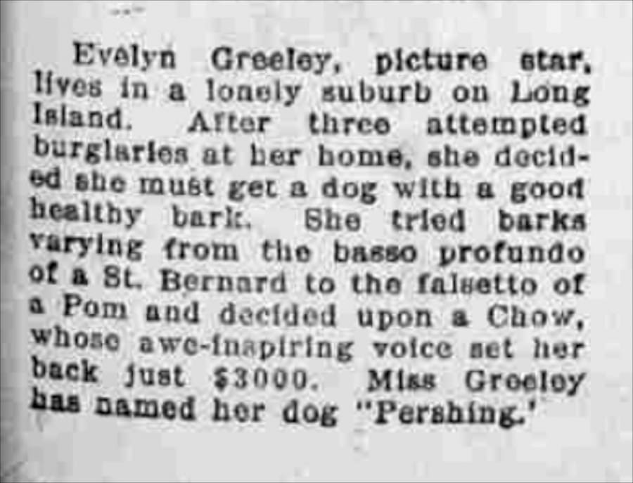 NEWS ARTICLE FROM 1919