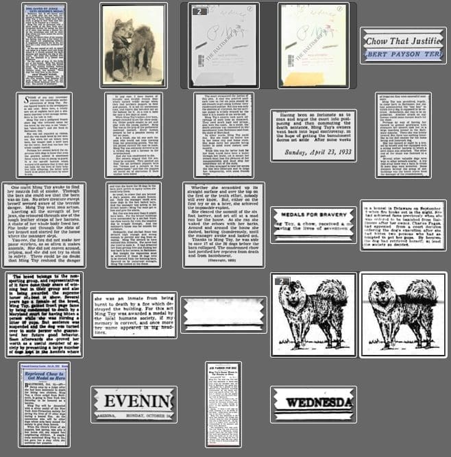 Above is just a small sampling in my desktop archives of articles I have accumulated on Ming Toy