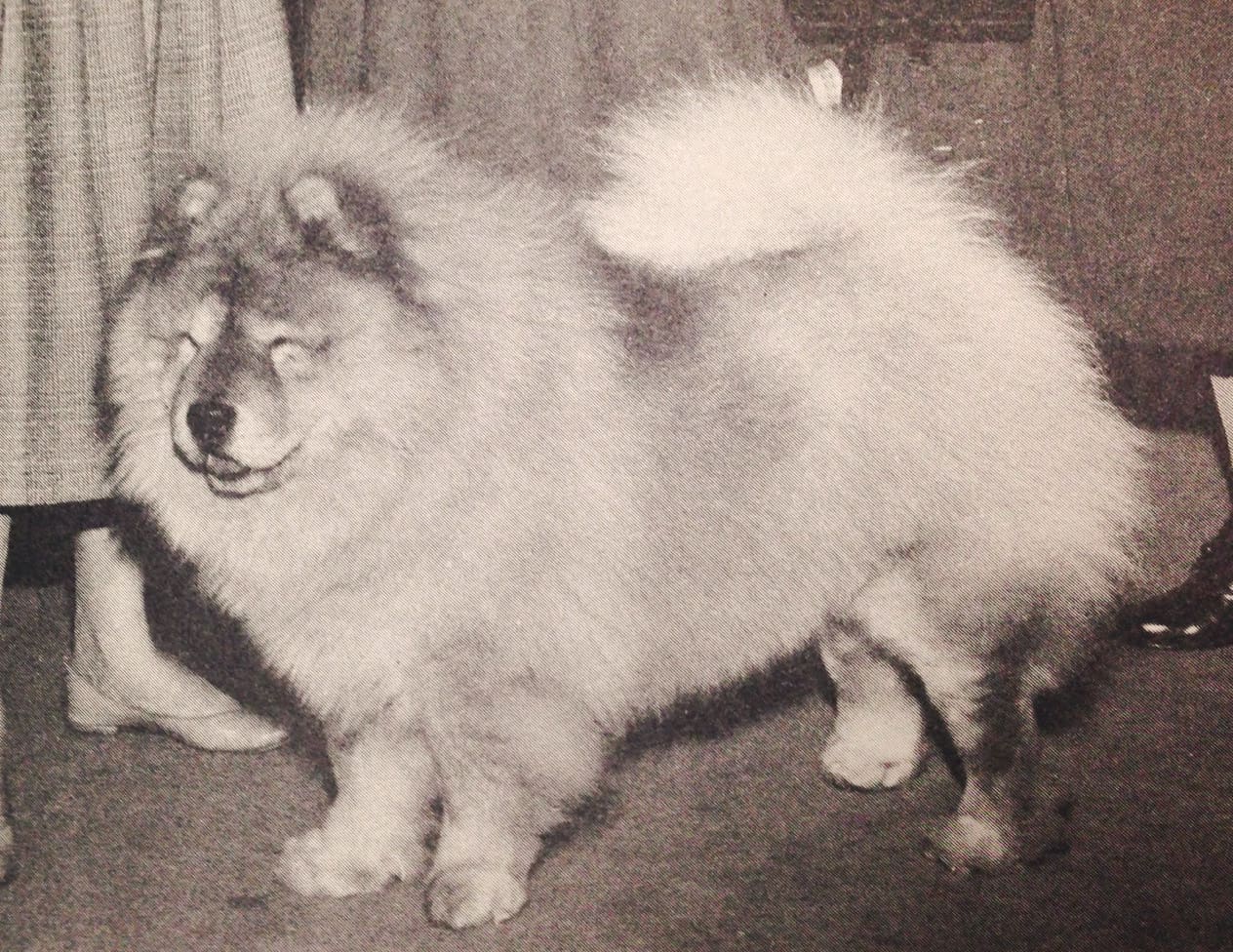 Early 1950's