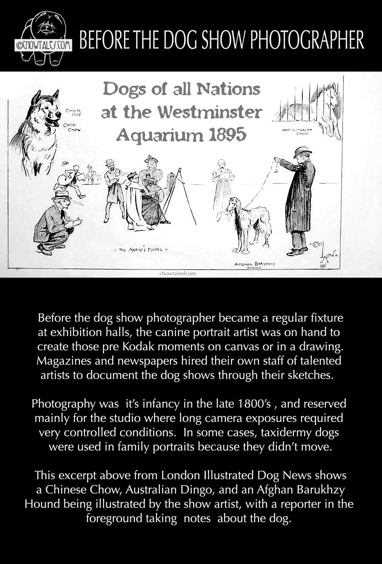 dog show painter 1895 - Version 2
