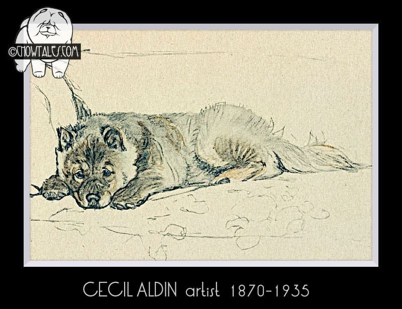 Cecil Aldin 1837-1935  artist