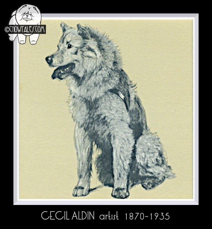 Cecil Aldin 1837-1935  artist