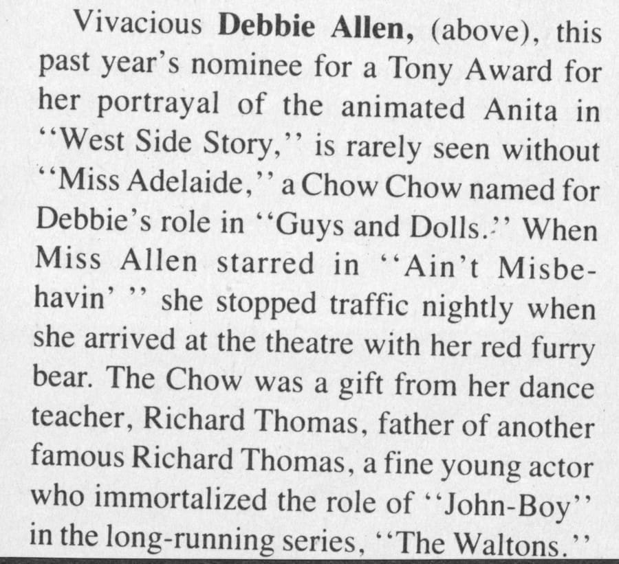 Celebrities Debbie Allen - Version 3