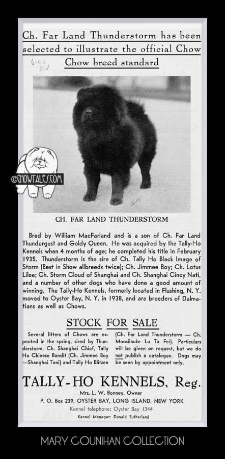 1940 CHOW STANDARD MODEL Tally Ho Kennels Far Land Thunderstorm