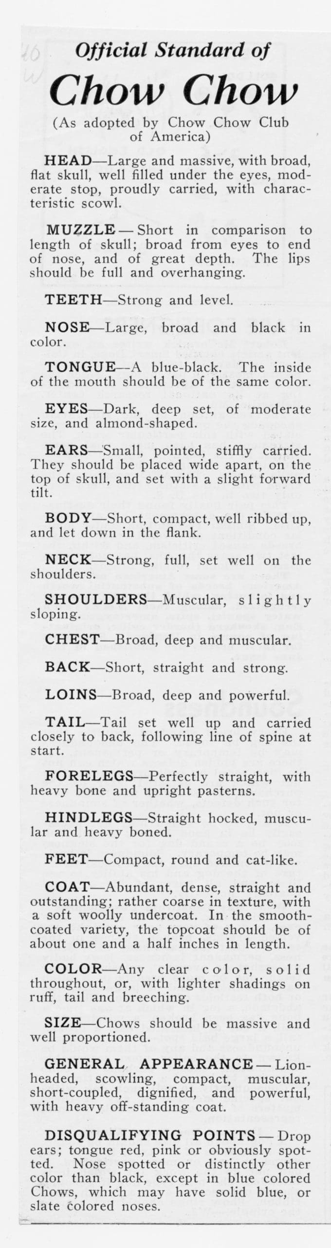 1940 CHOW STANDARD MODEL Tally Ho Kennels Far Land Thunderstorm