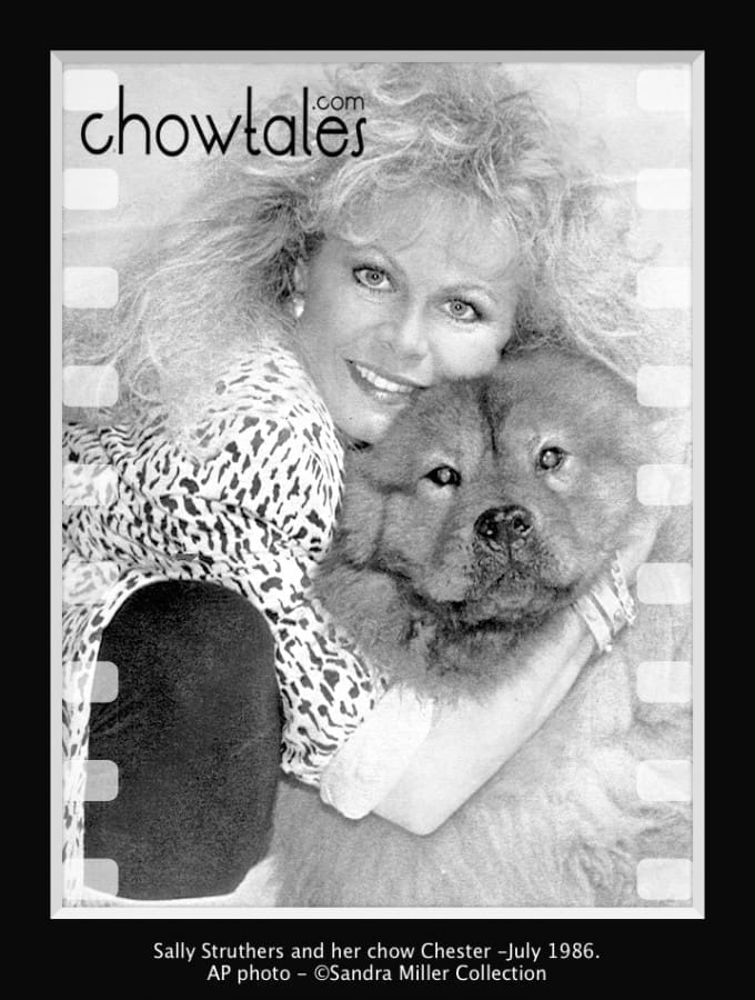 Sally Struthers wire-press photo - Version 2 (1 of 1)