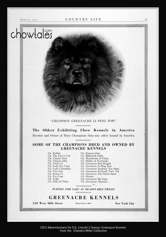 Greenacre Kennel Ad 1923 Listing all their major winners and producers
