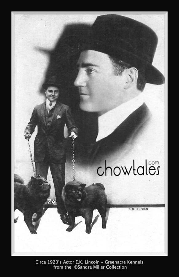 ARTIST E K LINCOLN & DOG US ACTOR CINEMA MOVIE POSTCARD