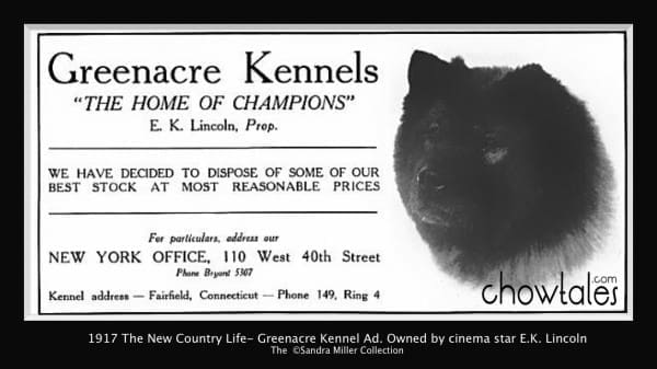 Greenacre 1917 The New Country Life e k lincoln greenacre kennels