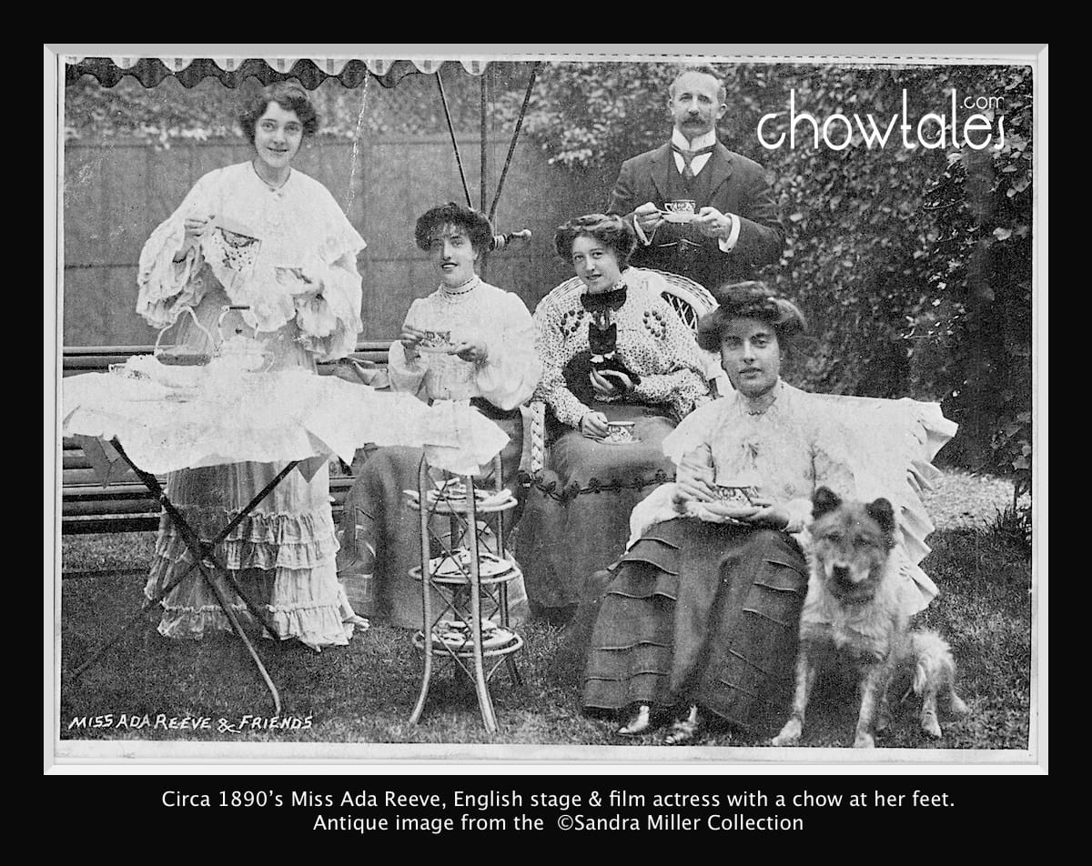 Miss Ada Reeve and Friends  Edwardian 1900 chow cat ladies man actress