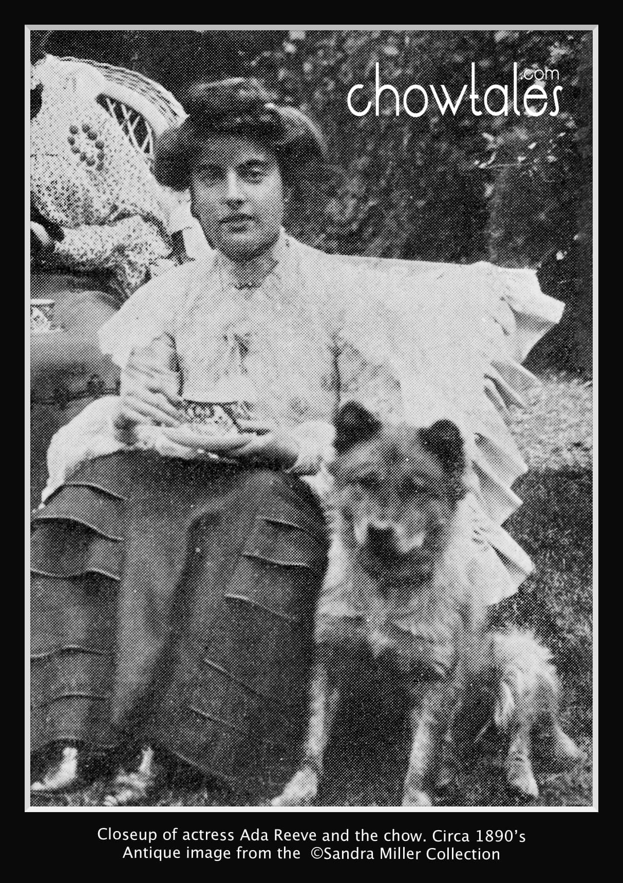 Miss Ada Reeve and Friends  Edwardian 1900 chow cat ladies man actress