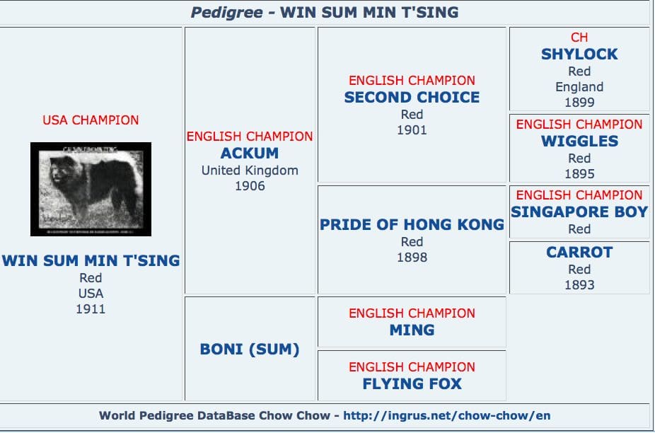 min tsing pedigree