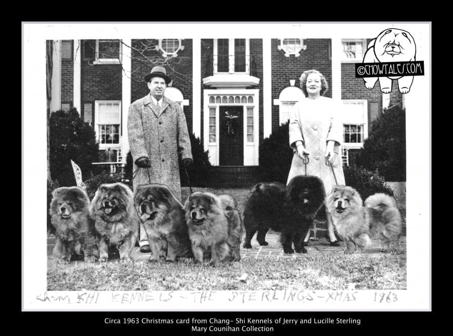 1964 The Sterlings xmas card Chang Shi Kennels - Version 2 (1 of 1)