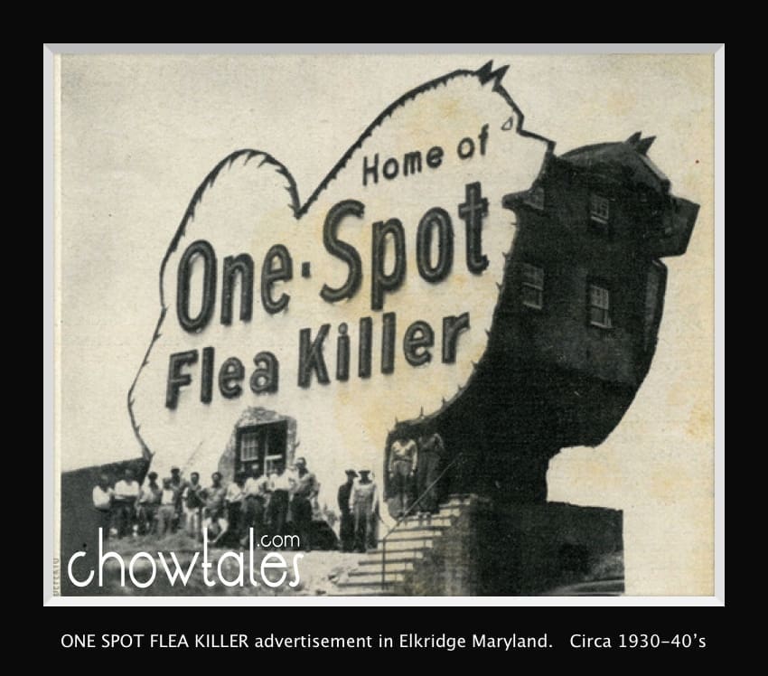 ONE SPOT flea killerhouse and staff Moved to archive