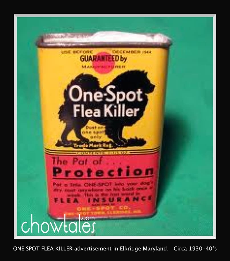 ONE SPOT flea killer in can Moved to archive