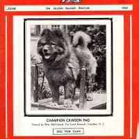 DOGNEWS JUNE 1931 COVER