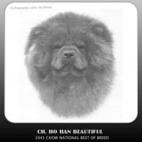 1941 national specialty winner Ch. Ho Han Beautiful Bitch