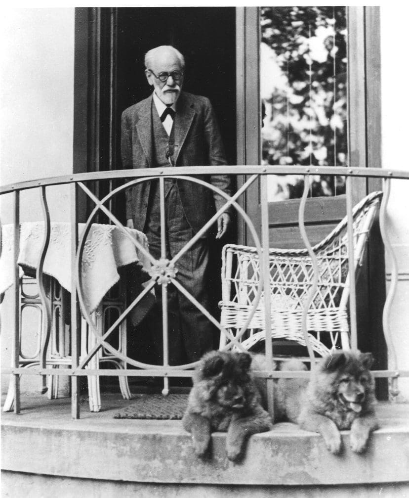 SIGMUND FREUD AND 2 OF HIS CHOWS
