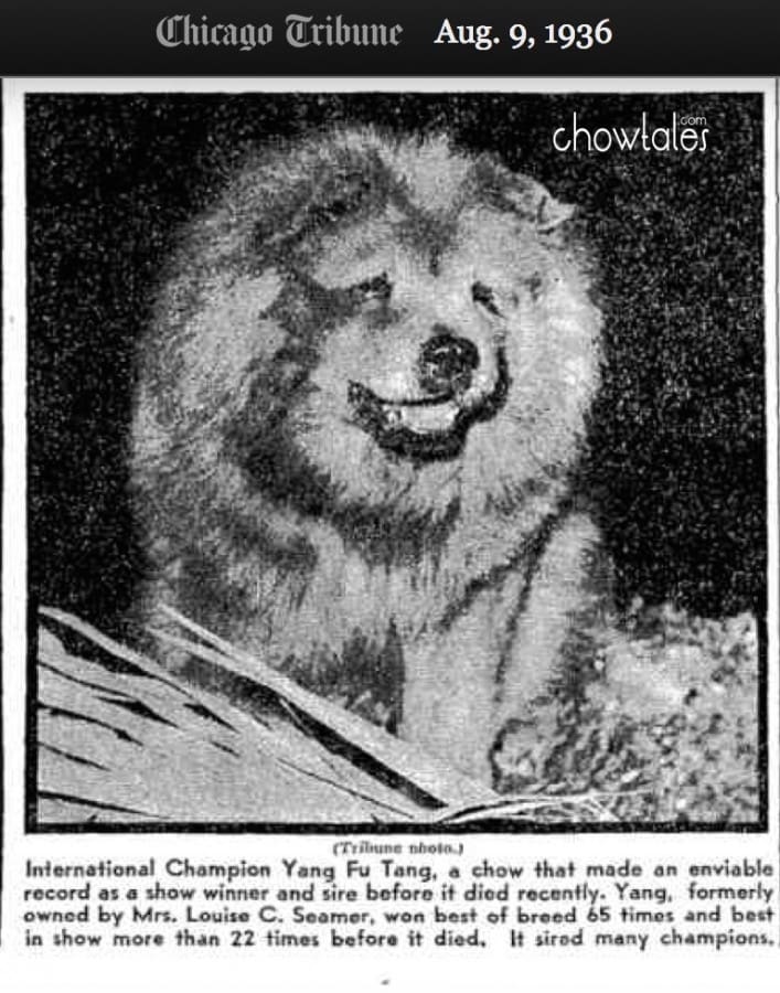 Yang Fu Tang August 1936 article and photo