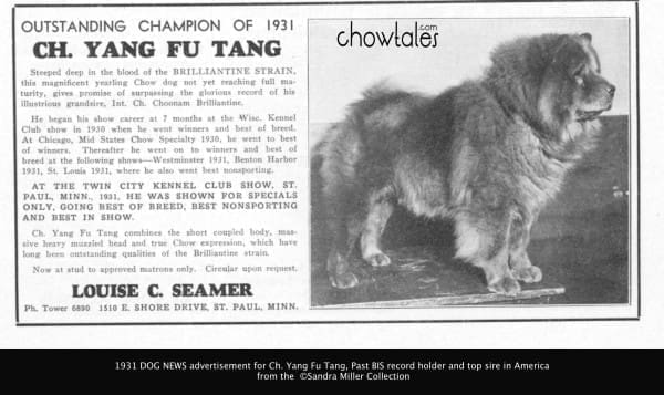 DOG NEWS RARE 1931 Yang fu tang - Version 2