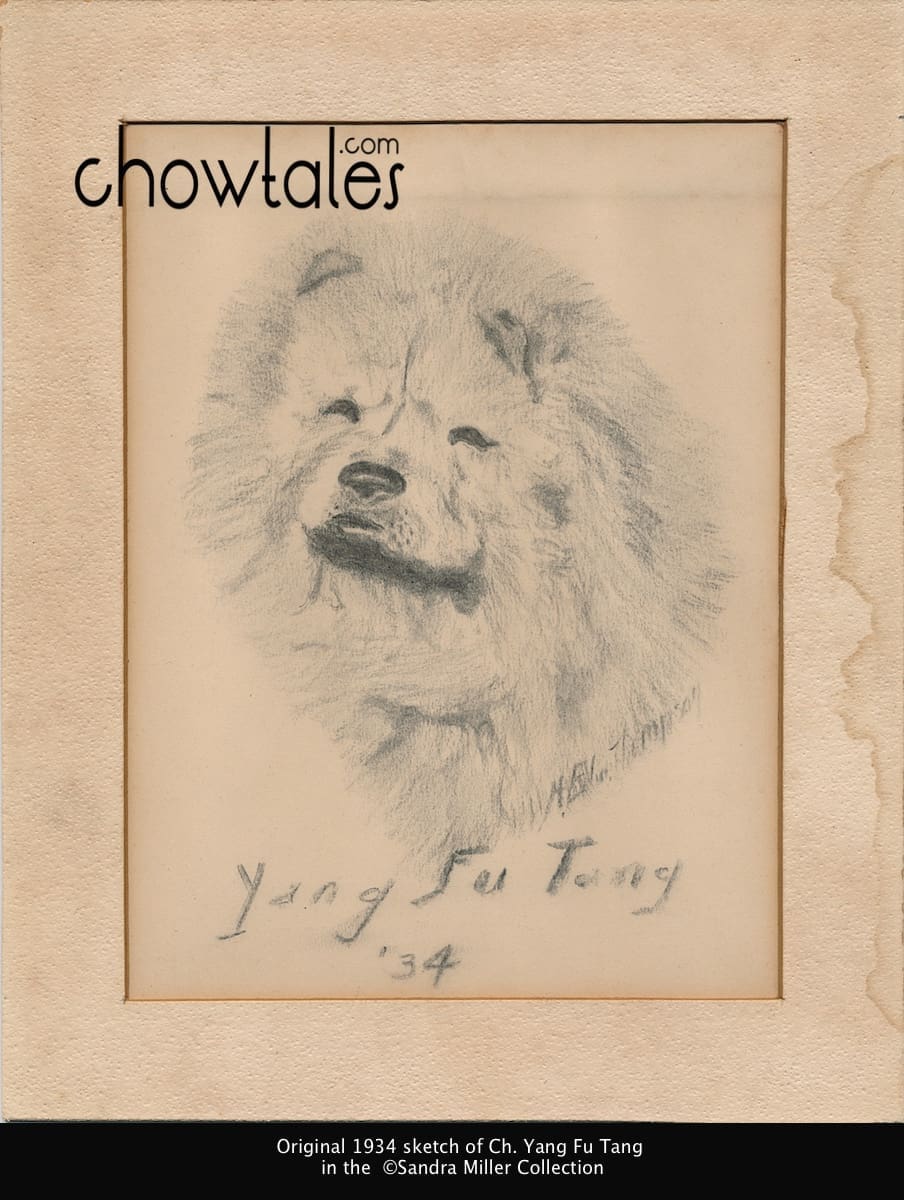 Ch. Yang Fu Tang original sketch