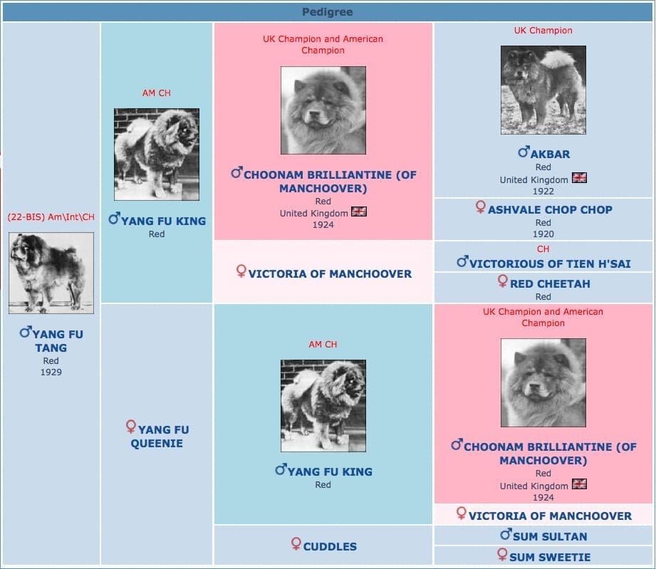 Ch. Yang Fu Tang Pedigree