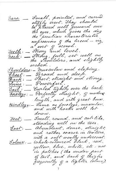 handwritten chow standard page 1 - Version 3