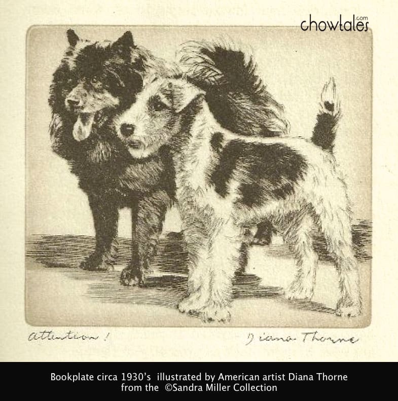 Diana Thorne 1936 chow terrier print attention screenshot Diana Thorne illustrations book 1930s