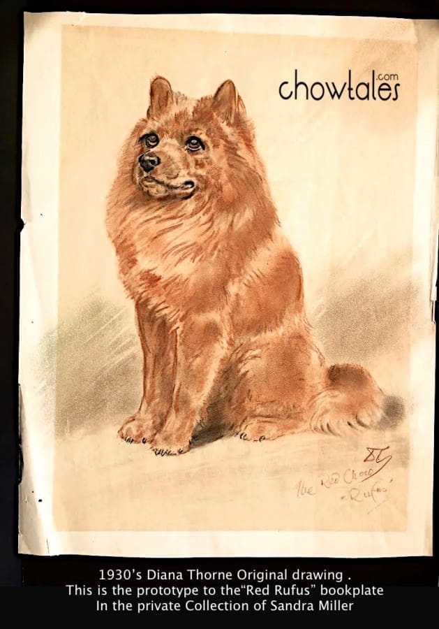 diana thorne the red chow rufus original in our collection. This is an original drawing from her sketchbook