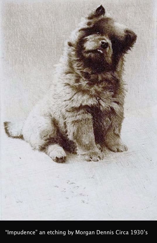 Miniature drypoint etching of the Chow Chow "Impudence" by Morgan Dennis (American 1892-1960) This miniature dry-point etching is signed by the artist in pencil ?Morgan Dennis?. The reverse bears a label ?Original Miniature Etching by Morgan Dennis ?Impudence? Published at 10/6?