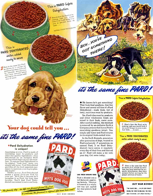 pard dog food morgan dennis
